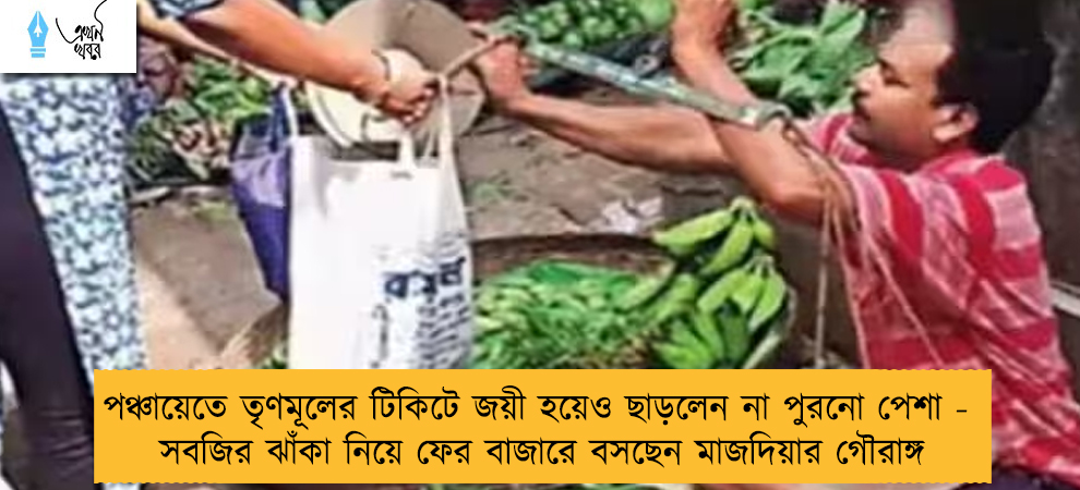 পঞ্চায়েতে তৃণমূলের টিকিটে জয়ী হয়েও ছাড়লেন না পুরনো পেশা - সবজির ঝাঁকা নিয়ে ফের বাজারে বসছেন মাজদিয়ার গৌরাঙ্গ