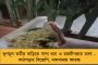 ভোটে প্রতিদ্বন্দ্বিতা করার খেসারত - রাস্তায় ফেলে বেধড়ক মার হিরো আলমকে, ভর্তি হাসপাতালে