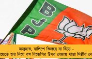 অজুহাত, নালিশে ভিজছে না চিঁড়ে - পঞ্চায়েতে হার নিয়ে বঙ্গ বিজেপির উপর বেজায় খাপ্পা দিল্লীর নেতারা