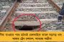 দ্বিতীয় জোট বৈঠকের আগে আপের পাশে দাঁড়ালেন সোনিয়ারা - অধ্যাদেশ নিয়ে কেজরিওয়ালদের সমর্থন কংগ্রেসের