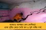 অজিত পাওয়ারদের বিরুদ্ধে শৃঙ্খলাভঙ্গের অভিযোগ – ৯ বিধায়কের পদ খারিজের দাবি এনসিপি-র