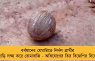 বর্ধমানের মেমারিতে নির্দল প্রার্থীর বাড়ি লক্ষ্য করে বোমাবাজি - অভিযোগের তির বিজেপির দিকে