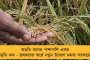 আগামীকাল থেকে রাজ্যজুড়ে বাড়বে বৃষ্টি - থাকবে আর্দ্রতাজনিত অস্বস্তিও, জানাল আবহাওয়া দফতর