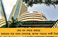 ফের ধস শেয়ার বাজারে - ৬৫ হাজারের ঘরে নামল সেনসেক্স, ব্যাপক পতনের সাক্ষী নিফটিও