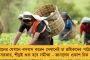 একজন শুধু বলেই চলেছেন – মোদীর ‘মন কি বাত’কে নিশানা রাহুলের
