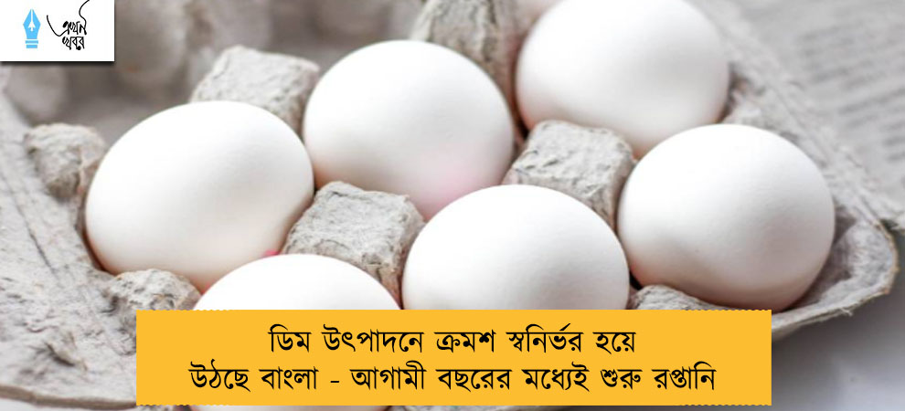 ডিম উৎপাদনে ক্রমশ স্বনির্ভর হয়ে উঠছে বাংলা - আগামী বছরের মধ্যেই শুরু রপ্তানি