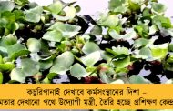 কচুরিপানাই দেখাবে কর্মসংস্থানের দিশা – মমতার দেখানো পথে উদ্যোগী মন্ত্রী, তৈরি হচ্ছে প্রশিক্ষণ কেন্দ্রও