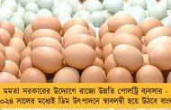 মমতা সরকারের উদ্যোগে রাজ্যে উন্নতি পোলট্রি ব্যবসার - ২০২৪ সালের মধ্যেই ডিম উৎপাদনে স্বাবলম্বী হয়ে উঠবে বাংলা