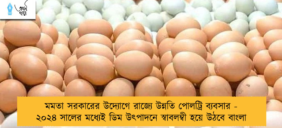 মমতা সরকারের উদ্যোগে রাজ্যে উন্নতি পোলট্রি ব্যবসার - ২০২৪ সালের মধ্যেই ডিম উৎপাদনে স্বাবলম্বী হয়ে উঠবে বাংলা
