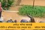 দুই মহিলাকে তুলে নিয়ে যাওয়ার চেষ্টা, বাধা দিতেই গাড়িচাপা দিয়ে চম্পট দুষ্কৃতীদের! - বিজেপিশাসিত হরিয়ানায় ছড়াল আতঙ্ক