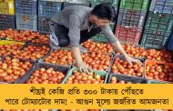 শীঘ্রই কেজি প্রতি ৩০০ টাকায় পৌঁছতে পারে টোম্যাটোর দাম! - আগুন মূল্যে জর্জরিত আমজনতা