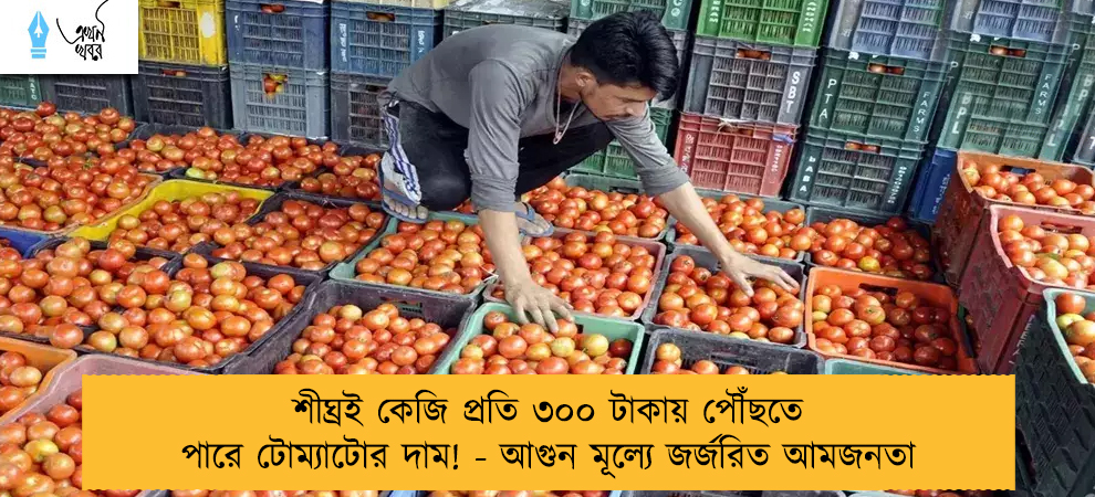 শীঘ্রই কেজি প্রতি ৩০০ টাকায় পৌঁছতে পারে টোম্যাটোর দাম! - আগুন মূল্যে জর্জরিত আমজনতা