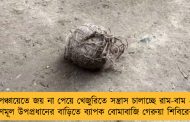 পঞ্চায়েতে জয় না পেয়ে খেজুরিতে সন্ত্রাস চালাচ্ছে রাম-বাম - তৃণমূল উপপ্রধানের বাড়িতে ব্যাপক বোমাবাজি গেরুয়া শিবিরের