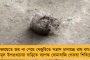 বিপুল টাকা নয়ছয়ের অভিযোগ! - দোষী সাব্যস্ত বিজেপি নেত্রী জয়া প্রদা, ৬ মাসের কারাবাসের সাজা
