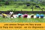 নিম্নচাপের জেরে দক্ষিণবঙ্গের সর্বত্র বর্ষণের সম্ভাবনা - বেশ কয়েকটি জেলায় অতি ভারী বৃষ্টির পূর্বাভাস হাওয়া অফিসের