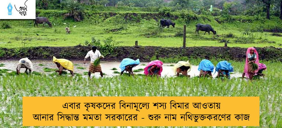 এবার কৃষকদের বিনামূল্যে শস্য বিমার আওতায় আনার সিদ্ধান্ত মমতা সরকারের - শুরু নাম নথিভুক্তকরণের কাজ