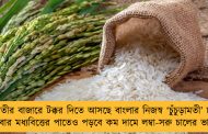 বাসমতীর বাজারে টক্কর দিতে আসছে বাংলার নিজস্ব ‘চুঁচুড়ামতী’ চাল - এবার মধ্যবিত্তের পাতেও পড়বে কম দামে লম্বা-সরু চালের ভাত
