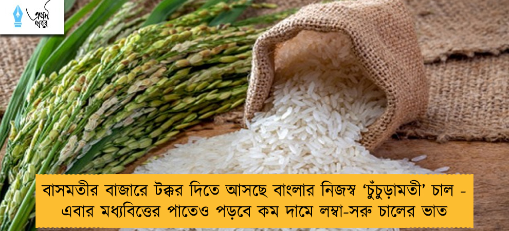 বাসমতীর বাজারে টক্কর দিতে আসছে বাংলার নিজস্ব ‘চুঁচুড়ামতী’ চাল - এবার মধ্যবিত্তের পাতেও পড়বে কম দামে লম্বা-সরু চালের ভাত