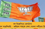 বঙ্গ বিজেপিতে কোণঠাসা খোদ বাঙালিরাই! - ভাইরাল শাহকে লেখা গেরুয়া কর্মীদের চিঠি
