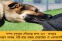 দুর্গোৎসবের প্রস্তুতি শুরু দিল প্রশাসন - প্রতিমা নিরঞ্জন-পর্ব মসৃণ করতে বিশেষ ব্যবস্থা কলকাতা পুরসভার