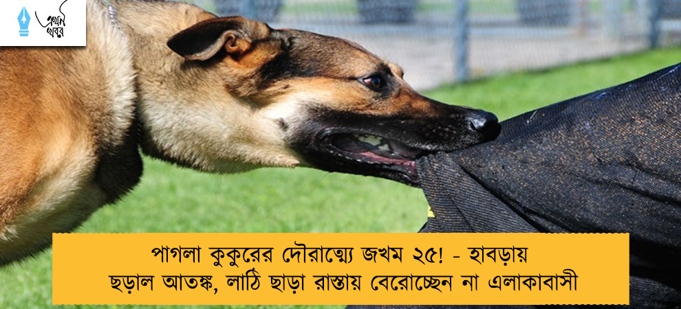 পাগলা কুকুরের দৌরাত্ম্যে জখম ২৫! - হাবড়ায় ছড়াল আতঙ্ক, লাঠি ছাড়া রাস্তায় বেরোচ্ছেন না এলাকাবাসী