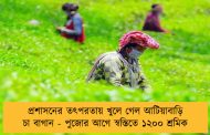 প্রশাসনের তৎপরতায় খুলে গেল আটিয়াবাড়ি চা বাগান - পুজোর আগে স্বস্তিতে ১২০০ শ্রমিক