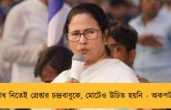 প্রতিশোধ নিতেই গ্রেপ্তার চন্দ্রবাবুকে, মোটেও উচিত হয়নি - অকপট মমতা