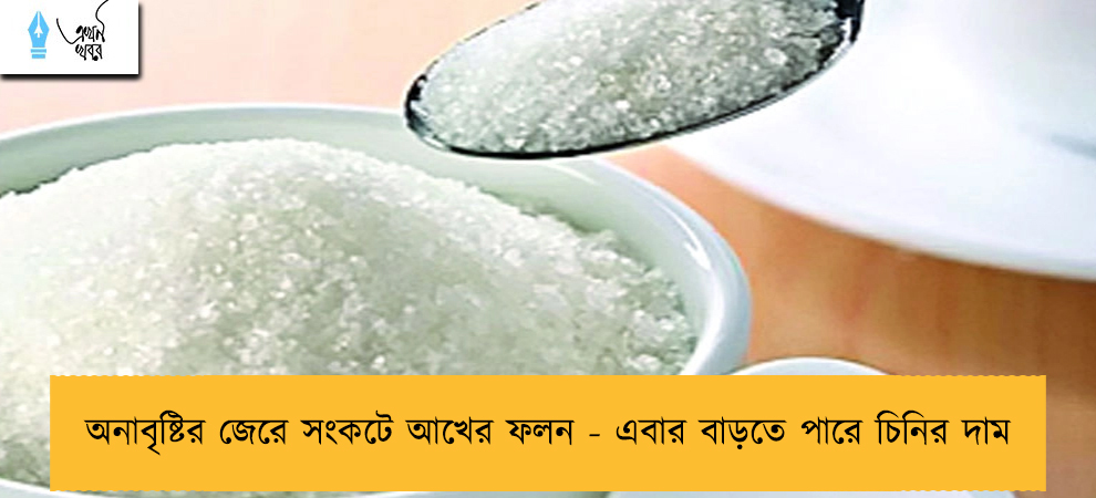 অনাবৃষ্টির জেরে সংকটে আখের ফলন - এবার বাড়তে পারে চিনির দাম