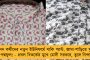'ডাকাতি শিখতে চাইলে চলে আসুন!' - বিহারের বিদুপুরে রমরমিয়ে চলছে চুরি-ছিনতাইয়ের স্কুল