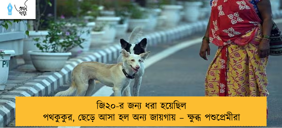 জি২০-র জন্য ধরা হয়েছিল পথকুকুর, ছেড়ে আসা হল অন্য জায়গায় – ক্ষুব্ধ পশুপ্রেমীরা