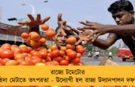 রাজ্যে টমেটোর চাহিদা মেটাতে তৎপরতা - উদ্যোগী হল রাজ্য উদ্যানপালন দফতর