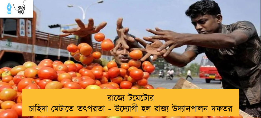 রাজ্যে টমেটোর চাহিদা মেটাতে তৎপরতা - উদ্যোগী হল রাজ্য উদ্যানপালন দফতর