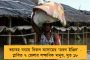 সংসদে বিশেষ অধিবেশনে কী হবে – রণকৌশল ঠিক করতে বৈঠক ডাকল ইন্ডিয়া জোট