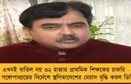 এখনই বাতিল নয় ৩২ হাজার প্রাথমিক শিক্ষকের চাকরি - বিচারপতি গঙ্গোপাধ্যায়ের নির্দেশে স্থগিতাদেশের মেয়াদ বৃদ্ধি করল ডিভিশন বেঞ্চ