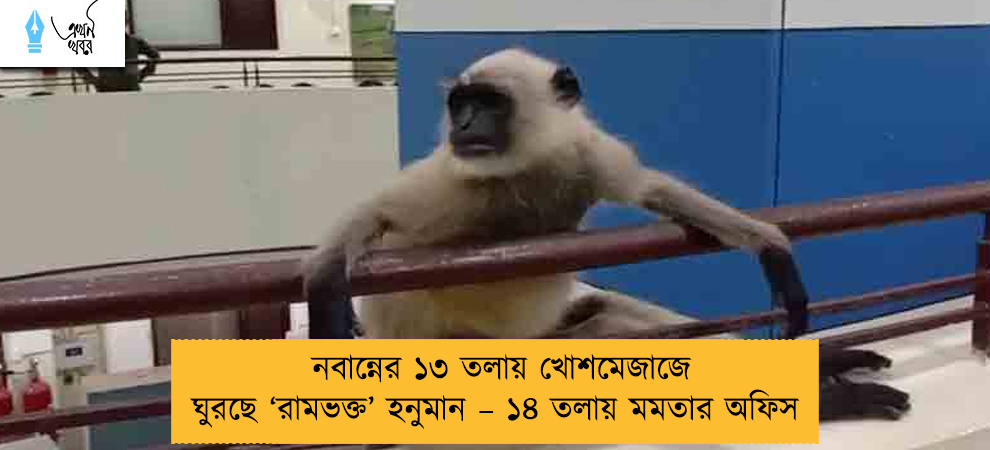 নবান্নের ১৩ তলায় খোশমেজাজে ঘুরছে ‘রামভক্ত’ হনুমান – ১৪ তলায় মমতার অফিস