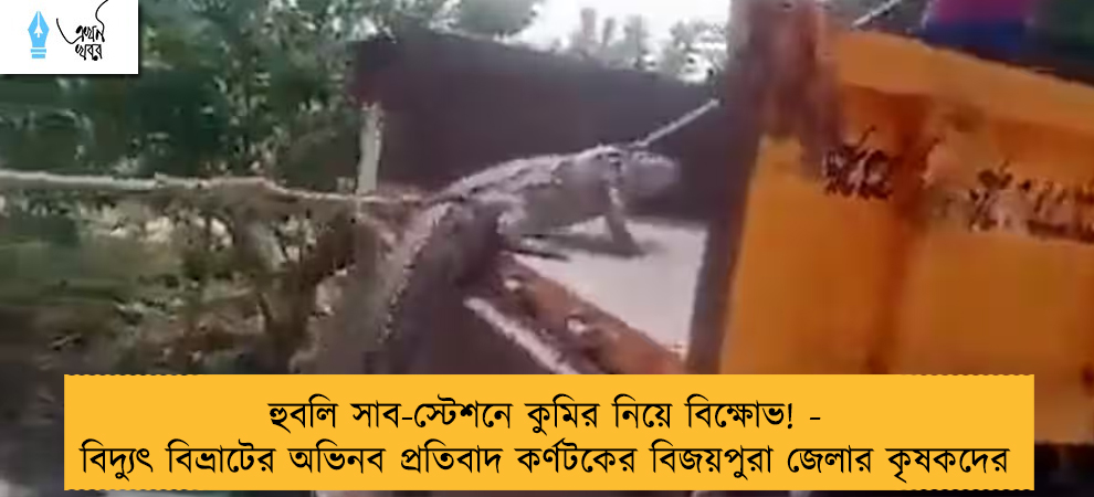 হুবলি সাব-স্টেশনে কুমির নিয়ে বিক্ষোভ! - বিদ্যুৎ বিভ্রাটের অভিনব প্রতিবাদ কর্ণটকের বিজয়পুরা জেলার কৃষকদের