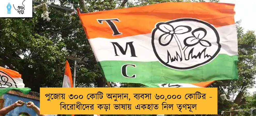 পুজোয় ৩০০ কোটি অনুদান, ব্যবসা ৬০,০০০ কোটির - বিরোধীদের কড়া ভাষায় একহাত নিল তৃণমূল   
