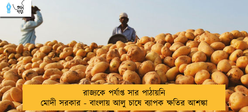 রাজ্যকে পর্যাপ্ত সার পাঠায়নি মোদী সরকার - বাংলায় আলু চাষে ব্যাপক ক্ষতির আশঙ্কা