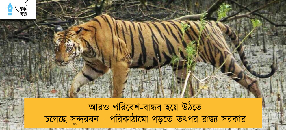 আরও পরিবেশ-বান্ধব হয়ে উঠতে চলেছে সুন্দরবন - পরিকাঠামো গড়তে তৎপর রাজ্য সরকার