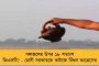 ‘পাহাড় ভালো থাকবে’ - উত্তরবঙ্গে দুর্যোগে মৃতদের পরিবারকে আর্থিক সাহায্য ঘোষণা করে আশ্বাস মুখ্যমন্ত্রী মমতার
