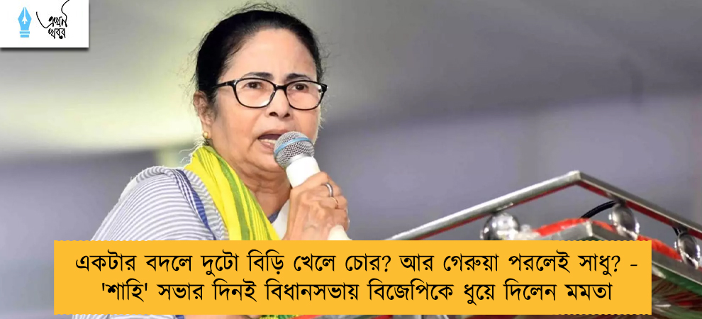 একটার বদলে দুটো বিড়ি খেলে চোর? আর গেরুয়া পরলেই সাধু? - 'শাহি' সভার দিনই বিধানসভায় বিজেপিকে ধুয়ে দিলেন মমতা
