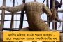 নতুন জনমুখী প্রকল্প মমতা সরকারের - ৮০ মৎস্যজীবীর হাতে তুলে দেওয়া হল রেজিস্ট্রেশন কার্ড