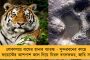 উত্তরপ্রদেশে ১৫ আসন বিরোধী জোটের দলগুলিকে ছাড়তে রাজি সমাজবাদী পার্টি - আসন রফার সায় দেবে কংগ্রেস?
