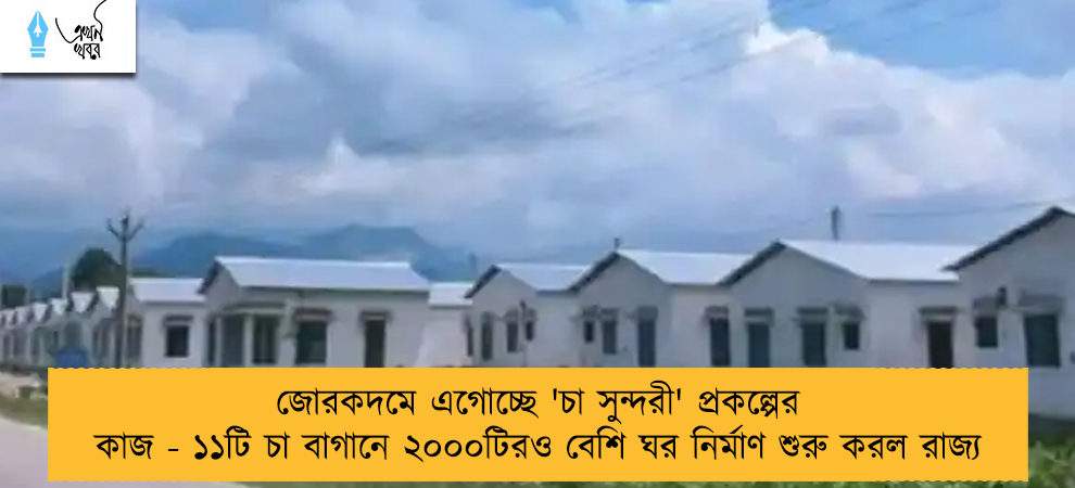 জোরকদমে এগোচ্ছে 'চা সুন্দরী' প্রকল্পের কাজ - ১১টি চা বাগানে ২০০০টিরও বেশি ঘর নির্মাণ শুরু করল রাজ্য