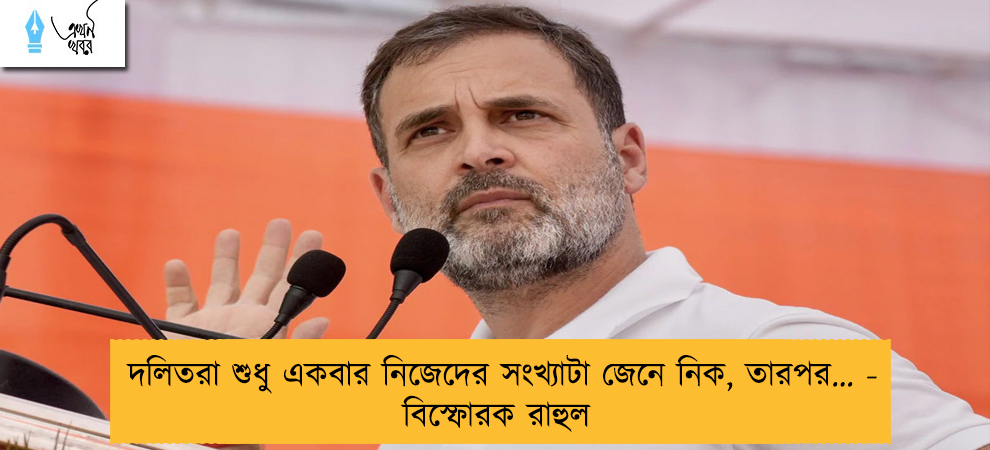 দলিতরা শুধু একবার নিজেদের সংখ্যাটা জেনে নিক, তারপর… - বিস্ফোরক রাহুল