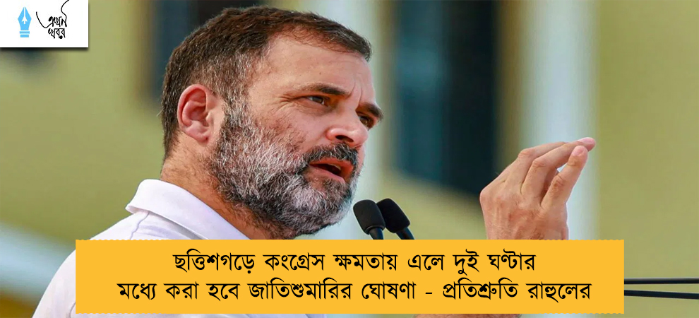 ছত্তিশগড়ে কংগ্রেস ক্ষমতায় এলে দুই ঘণ্টার মধ্যে করা হবে জাতিশুমারির ঘোষণা - প্রতিশ্রুতি রাহুলের