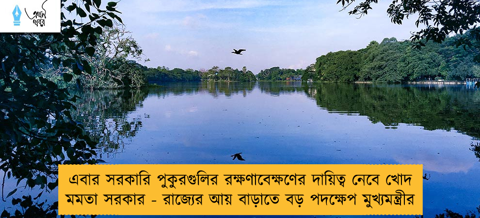 এবার সরকারি পুকুরগুলির রক্ষণাবেক্ষণের দায়িত্ব নেবে খোদ মমতা সরকার - রাজ্যের আয় বাড়াতে বড় পদক্ষেপ মুখ্যমন্ত্রীর