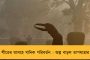 ক্রমাগত বর্ষণ ও দুর্যোগে বানভাসি তামিলনাড়ু - মৃত ৩, উদ্ধারকাজে নামল বায়ুসেনা