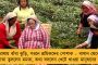 বিশ্ব বক্সিং প্রতিযোগিতায় উজ্জ্বল ভারত - দেশের ঝুলিতে এল ১৭ পদক