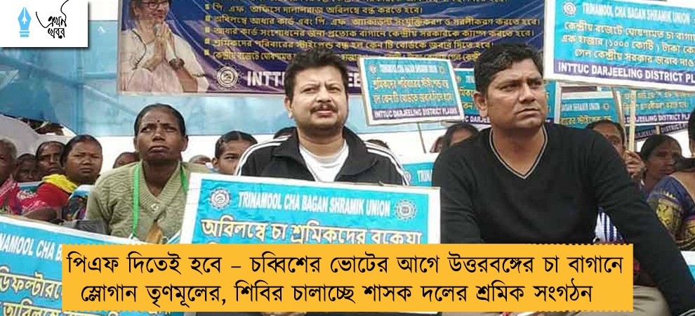 পিএফ দিতেই হবে – চব্বিশের ভোটের আগে উত্তরবঙ্গের চা বাগানে স্লোগান তৃণমূলের, শিবির চালাচ্ছে শাসক দলের শ্রমিক সংগঠন